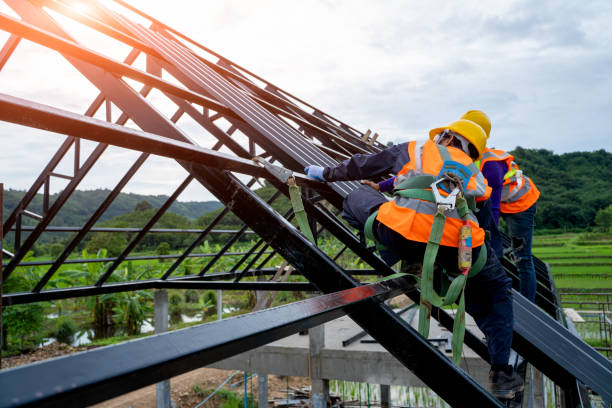 Best Roof Gutter Cleaning  in Lemont, PA
