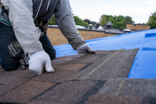 Best Flat Roof Repair Services  in Lemont, PA